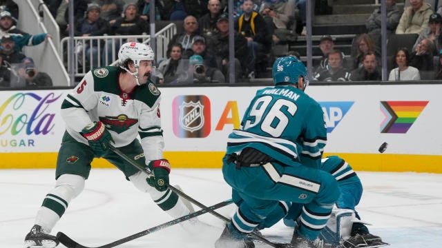 Wild Sharks Hockey 