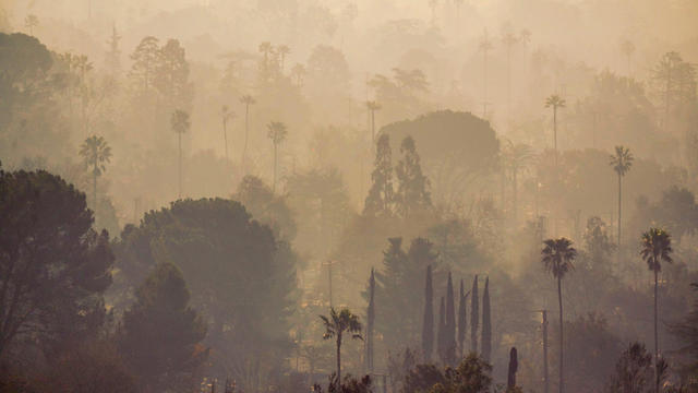 Los Angeles Fire Pushes Northeast, Threatens Brentwood, Encino 