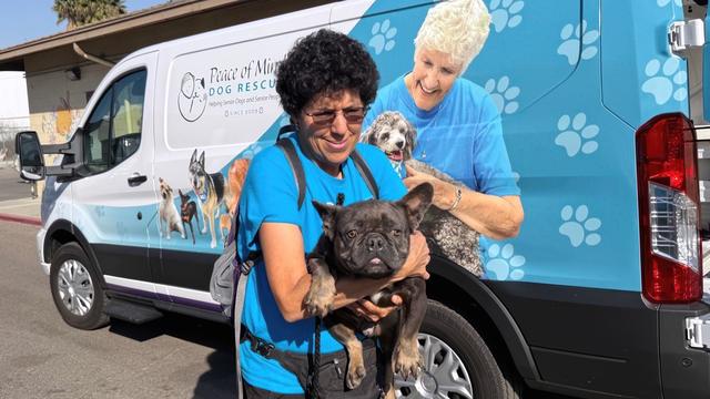 LA County dog rescue 