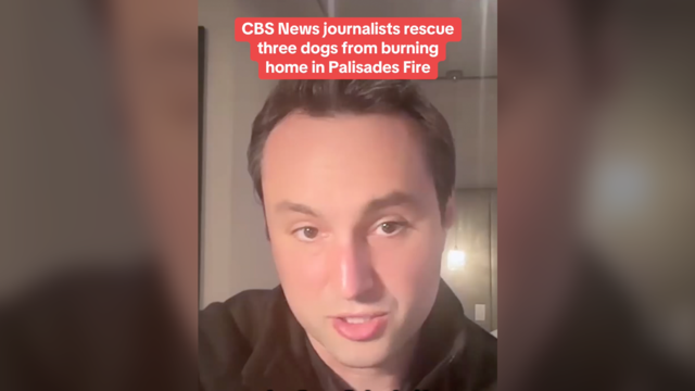 CBS News journalists rescue dogs from burning home 